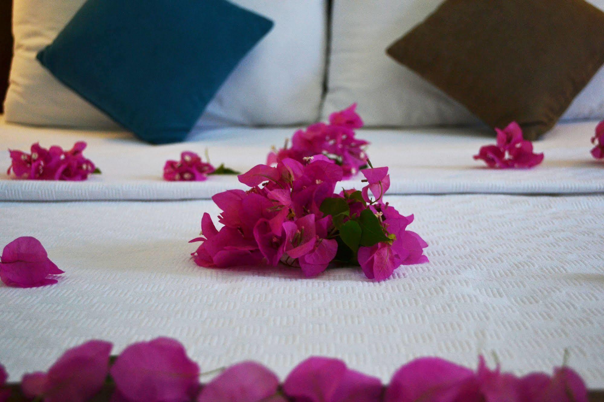 Oskay Hotel Dalyan Kültér fotó